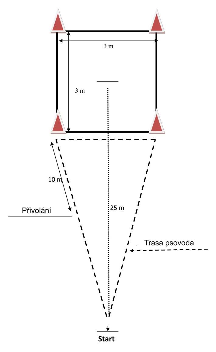 CVIK 5 Vysílání do čtverce, lehni a přivolání Povel: Vpřed, / Vpravo nebo Vlevo a (nebo) posunek rukou/, ( Stůj ), Lehni, K noze Provedení cviku: Pes se vyšle do čtverce 3 x 3 metry, který je vzdálen