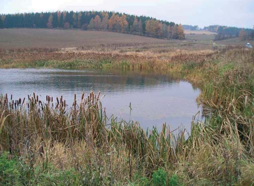 Luãinka - jih, prostfiední poldr, fiíjen 2003 Moravice, která byla pracovnû nazvána Luãinkasever, stfied a jih.