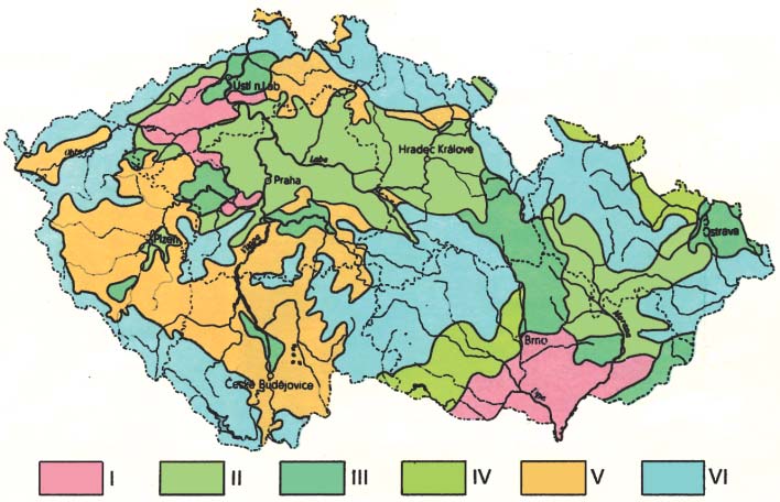 pem lesa. Tato pfiedstava vyvolala kritiku, jejímï pfiíkladem je Eichenmischwald-Hypothese, kterou vyslovil H.