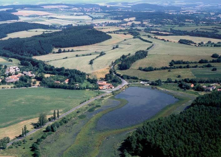 Kvûtnatá mokfiadní louka v PR Prameny P ovky (CHKO Kokofiínsko) je refugium v znamn ch reliktních bezobratl ch, napfi. plïe Cochlicopa nitens. Jak pfietrvaly takové biotopy lesní maximum holocénu?