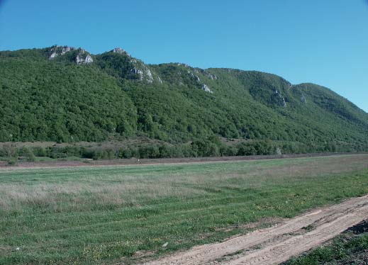 kras) Plo ka luãní stepi v ipákové doubravû na vrcholu Doutnáãe s kvetoucí tfiemdavou Foto Vojen LoÏek jr.