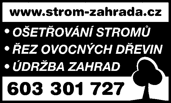 inzerce Opravy spotřebičů provádíme v bytech zákazníků. 251 61 24 64 603 466 089 www.servis-chlazeni.