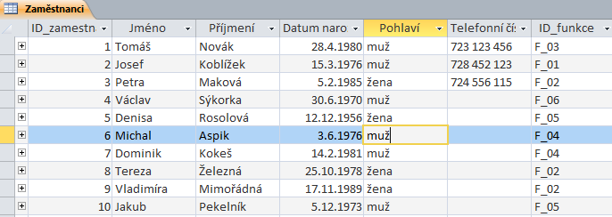 Pro vytvoření dobré databáze je nutné nejdříve navrhnout správnou strukturu jednotlivých tabulek. Tyto tabulky je pak nutné propojit pomocí relací. Tabulky tvoří základ celé struktury databáze.