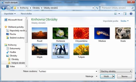 Kapitola: Krok za krokem MS Word 2010 Jak vložíte obrázek (například fotografií) do vašeho životopisu? Na kartě Vložení sekce Ilustrace ikonka Obrázek Zobrazí se okno Vložit obrázek.