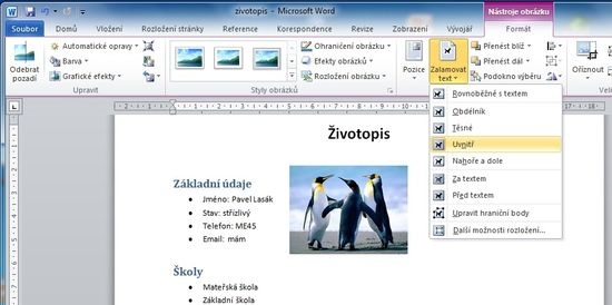 Kapitola: Krok za krokem MS Word 2010 Pokud máte označen vložený obrázek, máte ve Wordu k dispozici dočesnou kartu Nástroje obrázku.