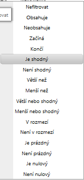 Jako výsledek se Vám zobrazí pouze záznamy, které odpovídají textu (kritériu) ve filtrovacím poli.