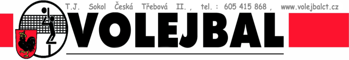 2013 se odehrálo další kolo českého poháru kadetů v Praze. Kromě našich kadetů se poháru účastní družstva VSK ISŠTE Sokolov, T.J. Turnov, SK Volejbal Kolín, volleyball.cz ČZU Praha.