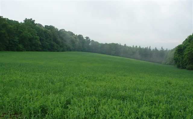 2012 Správná kompostářská praxe Kompostování, biologicky rozložitelný komunální odpad, Ctibořská Náves Miniwaste Žebětín Polní den pracovní setkání k hodnocení kvality půdy ( udržitelnost projektu