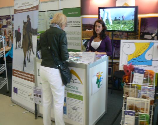 10 ZAMĚSTNANCI MAS Zaměstnanci Občanského sdružení CHANCE IN NATURE LAG v roce 2013 Ing. Jaromír Polášek Jana Dolanská Hana Lukešová Mgr. Iveta Frková Ing. Vladimír Drye Bc. Veronika Vaněčková Bc.