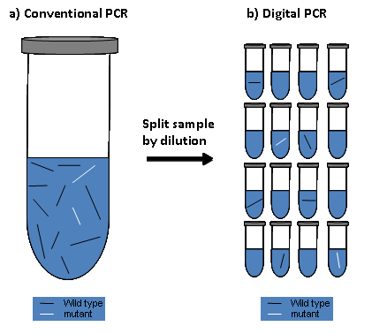 Digitální PCR (dpcr) Rozdělení analyzovaného vzorku do velkého počtu separátních
