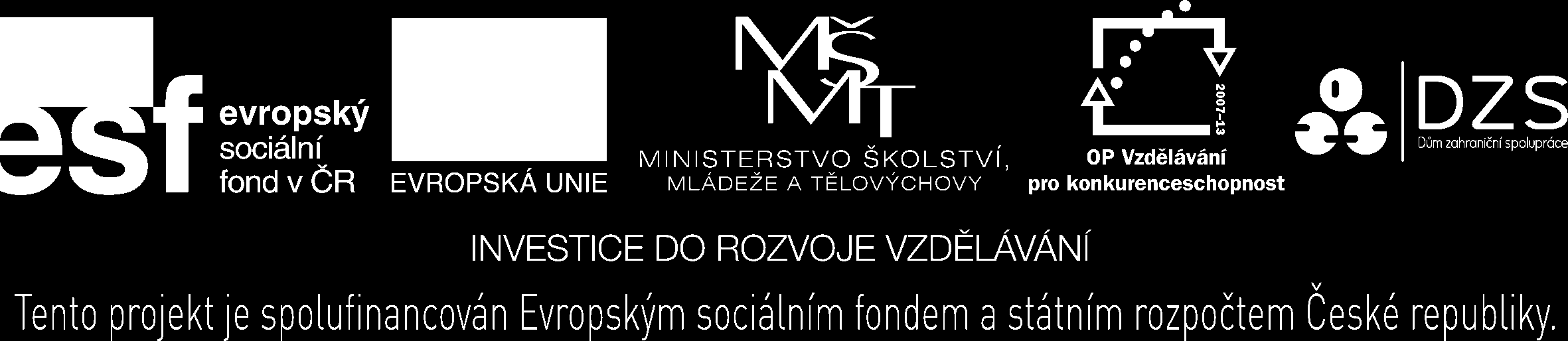 Mezinárodní výzkum dospělých Programme for the International Assessment of Adult