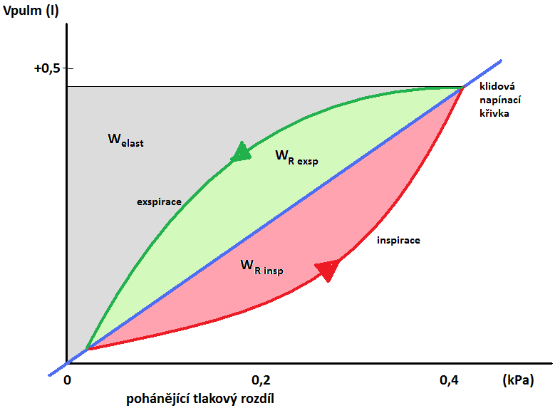 Dechová práce - exspirační a inspirační dechová práce je konaná proti proudovému odporu dýchacích cest - W elast je práce proti elastickým silám plic a hrudníku o inspirační práce = W R insp + W