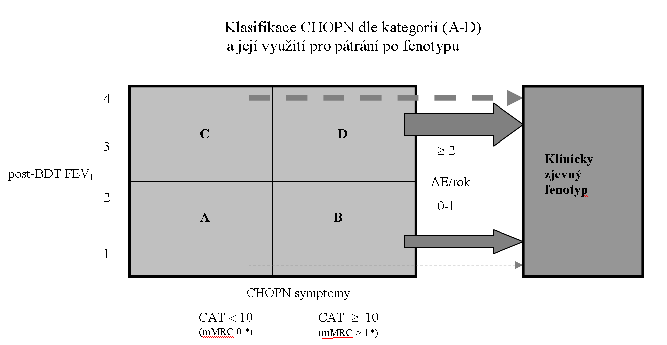 13 Obrázek 1 Vztah kategorií a fenotypu CHOPN - pátrání po přítomnosti fenotypů má význam zejména u nemocných kategorií B a D (méně v případě nemocných označený C a téměř vůbec není třeba se touto