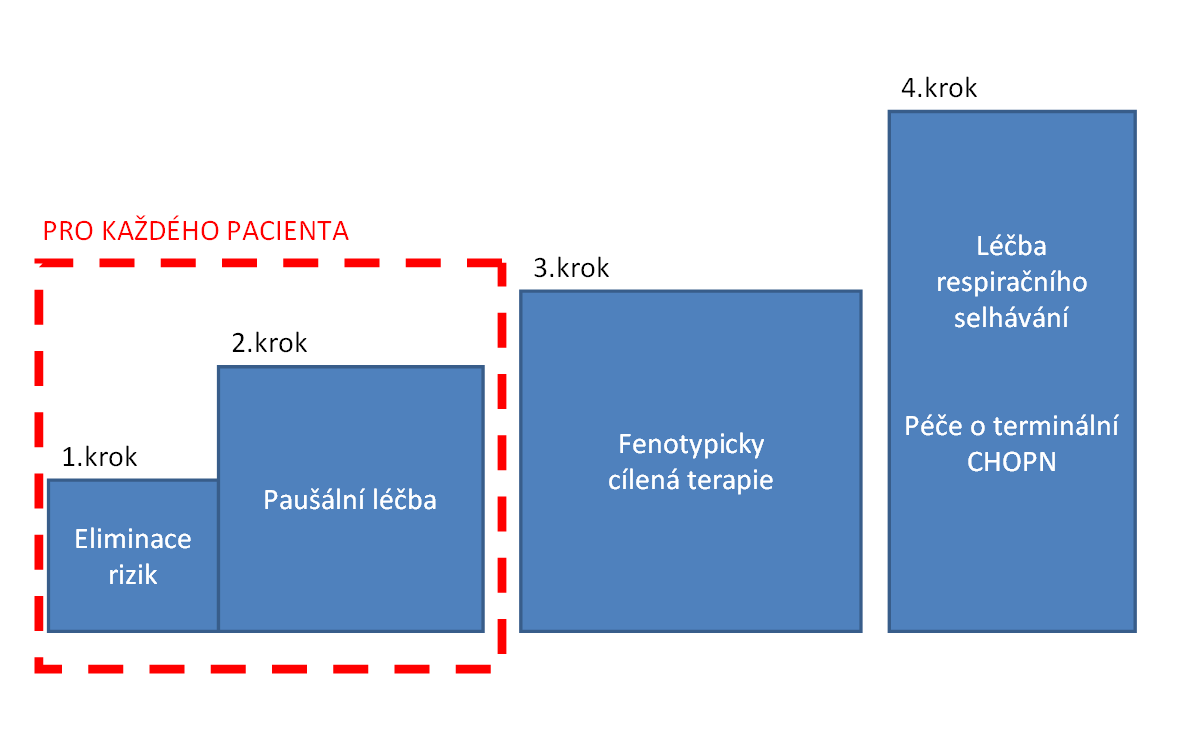 15 Obrázek 2 Přístup k léčbě stabilní CHOPN v případě nevyhraněného fenotypu a při nepřítomnosti respirační nedostatečnosti stačí první dva kroky léčebného schématu, pro pacienty s jasným klinickým