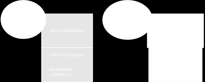 16 Schéma 4: Souhrnná léčebná doporučení pro jednotlivé vyhraněné fenotypy CHOPN (A1AT -1 antitrypsin, ATB antibiotika, BVR - bronchoskopická volumredukce, IKS inhalační kortikosteroidy, LABA