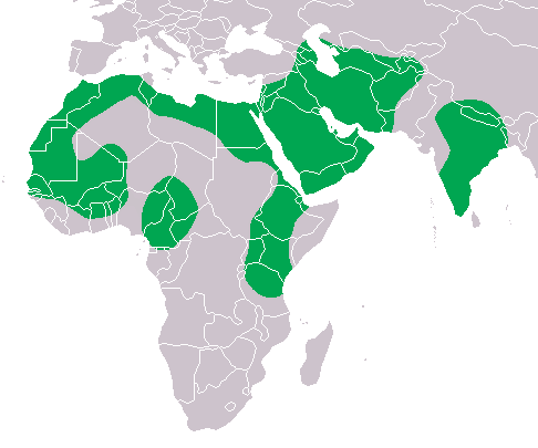 v=5gx0bjsfncw Klubák červenozobý rozšíření čeledi medozvěstkovití (Indicatoridae) - endemické řády: Afrosoricida (Afrosoricidi) 3 čeledi vydříkovití, zlatokrtovití, bodlínovití Hrabáči