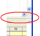 vedoucího projektu o pohled zobrazující náklady a informace o rozpočtu) a pak je používají v programu Seavus Project Viewer.