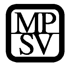Dobrovolnictví v sociálních službách