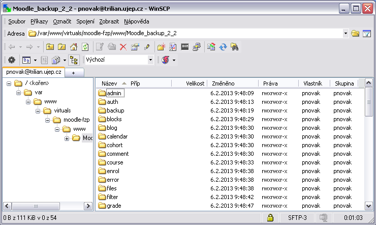Obr. 27 Aplikace WinSCP (seznam uložených připojení; dialog nového připojení) Zdroj: vlastní Vlastní kopírování vytvořeného webu probíhá (dle nastavení aplikace) buď v okně s uživatelským rozhraním