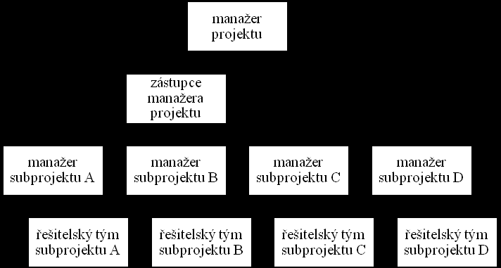 Řešitelský tým (Realization Team) zahrnuje osoby pracující (vykonávají přímou práci) na realizaci projektu a jsou přímo podřízené manažerovi projektu.