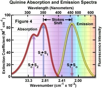 Fluorescence a fosforescence