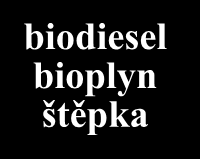 energeticky soběstačný mikroregion Mureck energetický podnik řepka olejka kukuřice odpadní dřevo pevné i kapalné hnojivo a krmivo