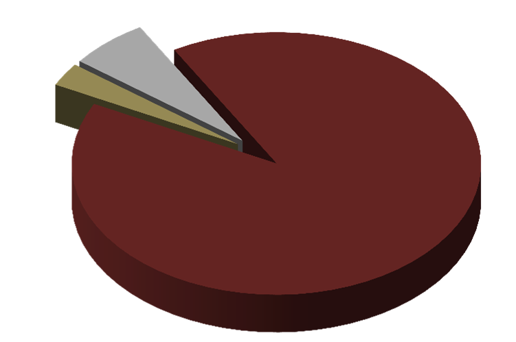 Outgoing 90% Pobytové 91% DRUH CR Outgoing Pobytové Poznávací Jiné / kombi 97 3