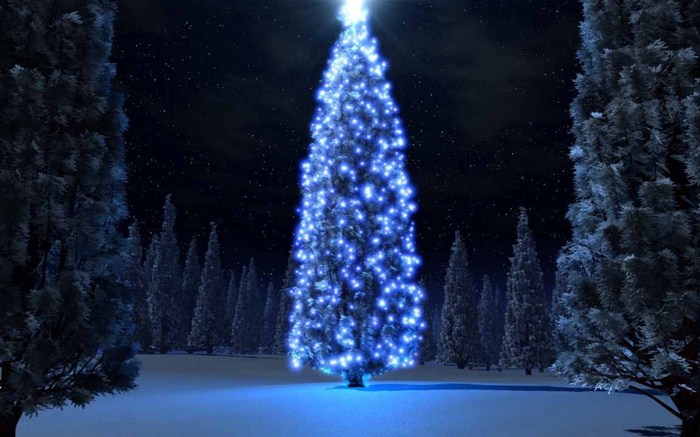 Lidové slavení: 24. prosince - v některých zemích včetně ČR 25. prosince - ve většině západních zemí (v USA je náš Jeţíšek pojmenován Santa Claus) Církev oslavuje Vánoce především bohosluţbami.