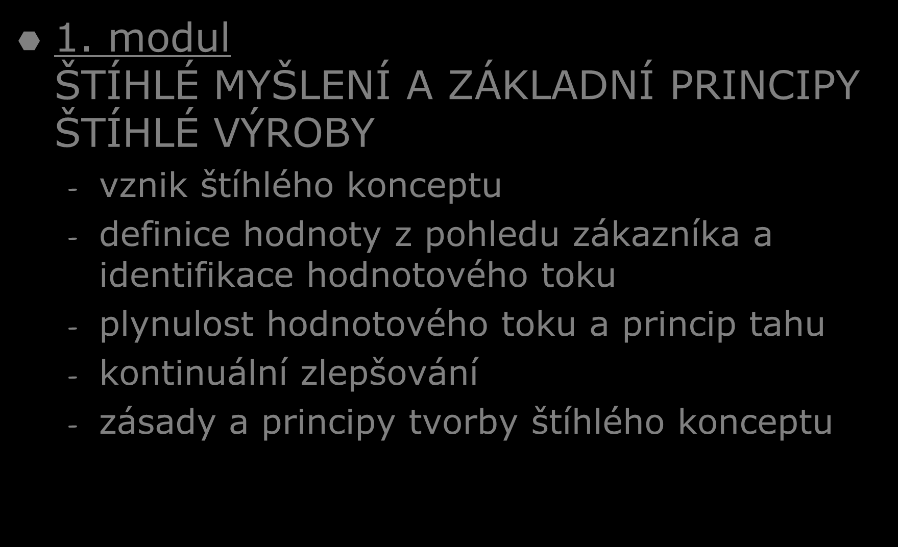 Spolupráce při realizaci štíhlé výroby 1.