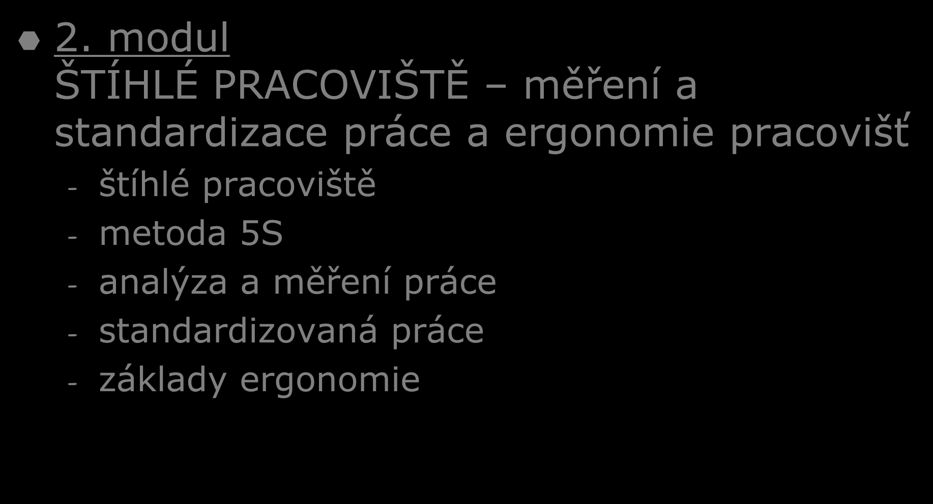 Spolupráce při realizaci štíhlé výroby 2.