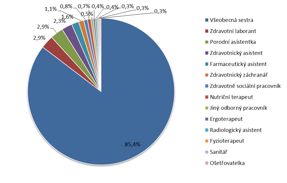 Graf č. 1: Vaše odbornost Otázka č. 1 charakterizovala vzorek dle odbornosti. Ve více jak 85 % byly zastoupeny všeobecné sestry, které jsou největší skupinou zdravotníků ČR 2.