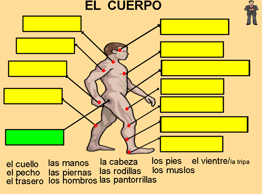 Interaktivní výukový materiál španělského jazyka zaměřený na slovní zásobu Lidské tělo, B1 Anotace (str. 2 - úvodní strana prezentace) Str.