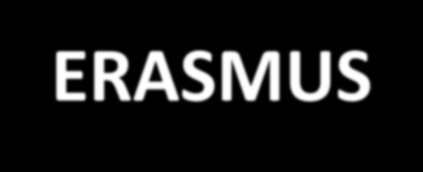 Schéma programu Erasmus+ Programy mezinárodní spolupráce VŠ Tempus, Alfa Erasmus Mundus Edulink, bilaterální programy Program celoživotního učení (2007 2013): Comenius Erasmus Leonardo