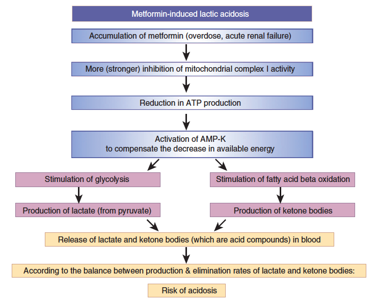 MILA a MALA Metformin-induced lactic acidosis x metformin-associated lactic acidosis Lalau