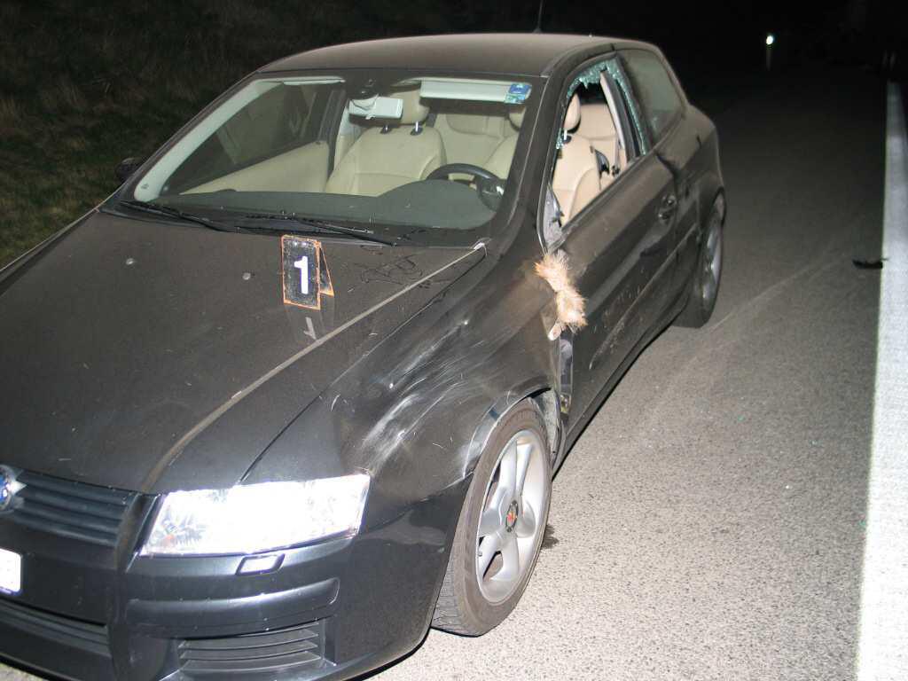 Obrázek č.