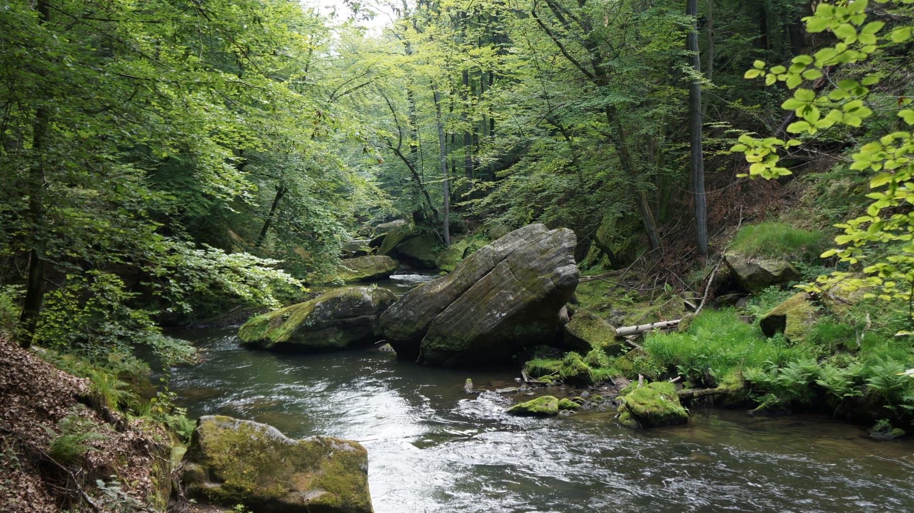 LESNÍ KRAJINA MÍRNÉHO PÁSU od jihu k severu pás