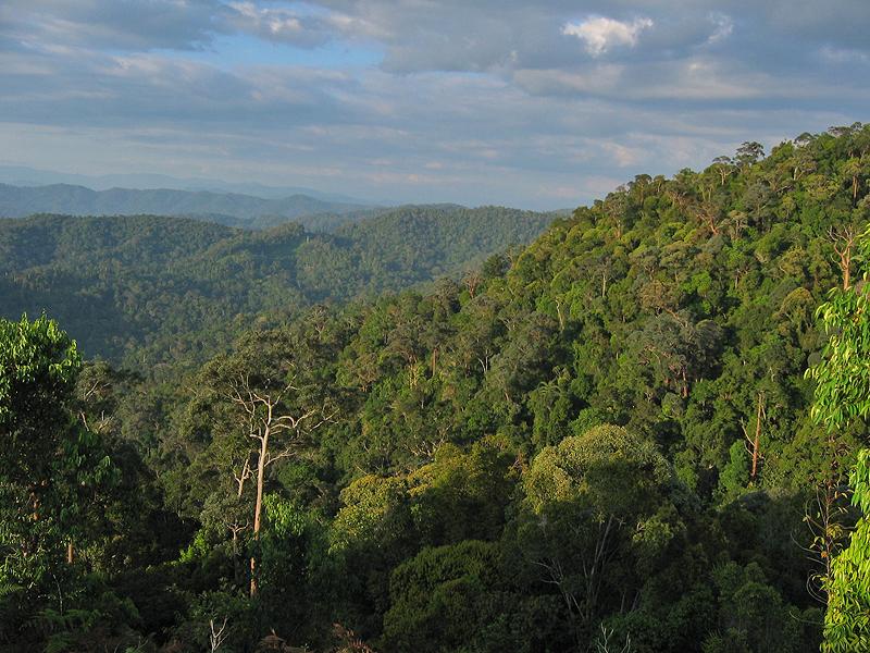 http://upload.wikimedia.org/wikipedia/commons/d/df/taman-negara.