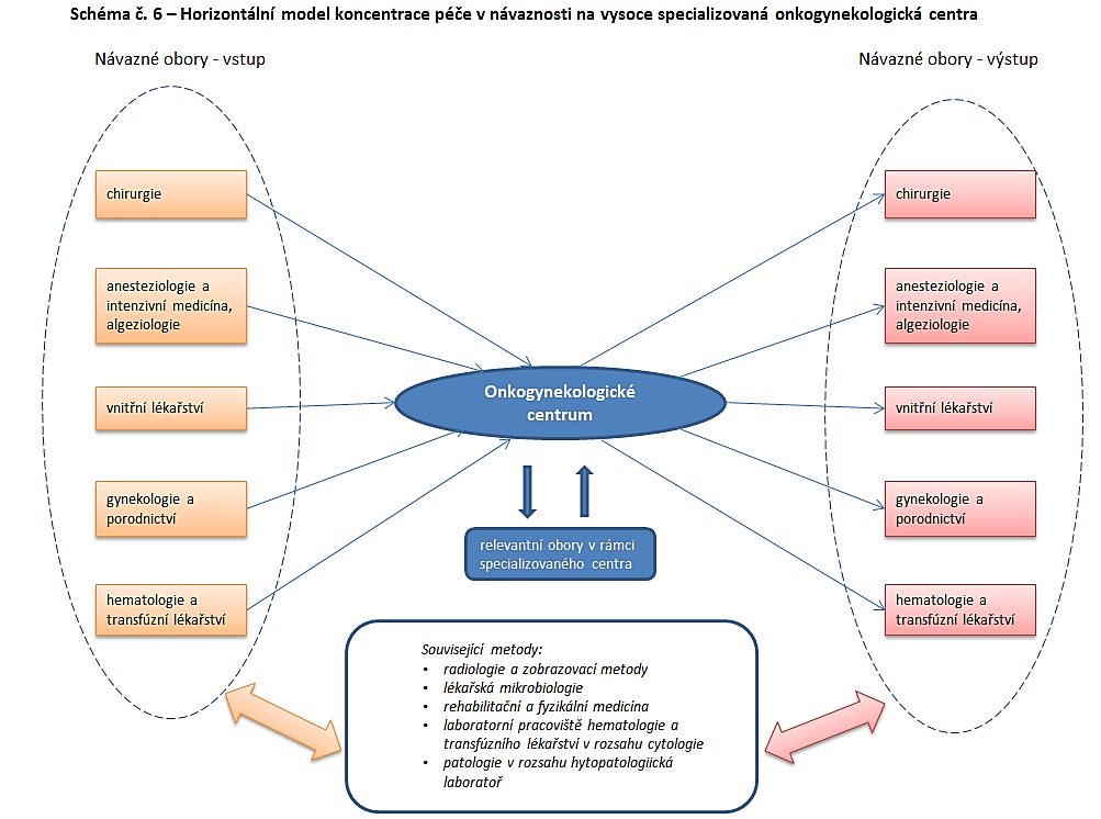 Onkogynekologická centra Lékařské obory: chirurgie anesteziologie a intenzivní medicína, algeziologie vnitřní lékařství gynekologie a porodnictví hematologie a transfúzní lékařství onkologie