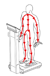 Analyzátory tuku Pro přesné měření složení těla se používají profesionální analyzéry Měření probíhá v dolní i horní