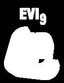 Metodické pokyny pro zpracování evidence za rok 2009 v programu EVI 9 - importy dat z ORP Vypracoval: Tomáš