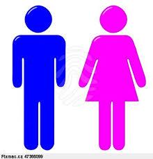 Gender Tento termín se v psychologii a souvisejících vědách většinou používá v angličtině. Překlady do češtiny rod nebo pohlaví nezahrnují tzv.