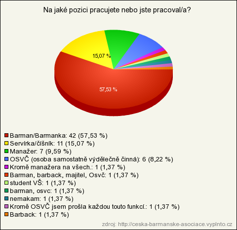 Otázka č. 13 Jaké je Vaše hlavní zaměření? Graf č. 13 Hlavní zaměření Zdroj: Vlastní Na otázku č. 13 odpovídalo všech 73 respondentů.