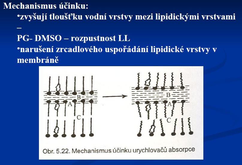 U těchto forem, u těch náplastí, se na poměrně malé ploše (třeba 1cm x 1cm) aplikuje relativně velké množství léčivé látky, kožní cestou, a