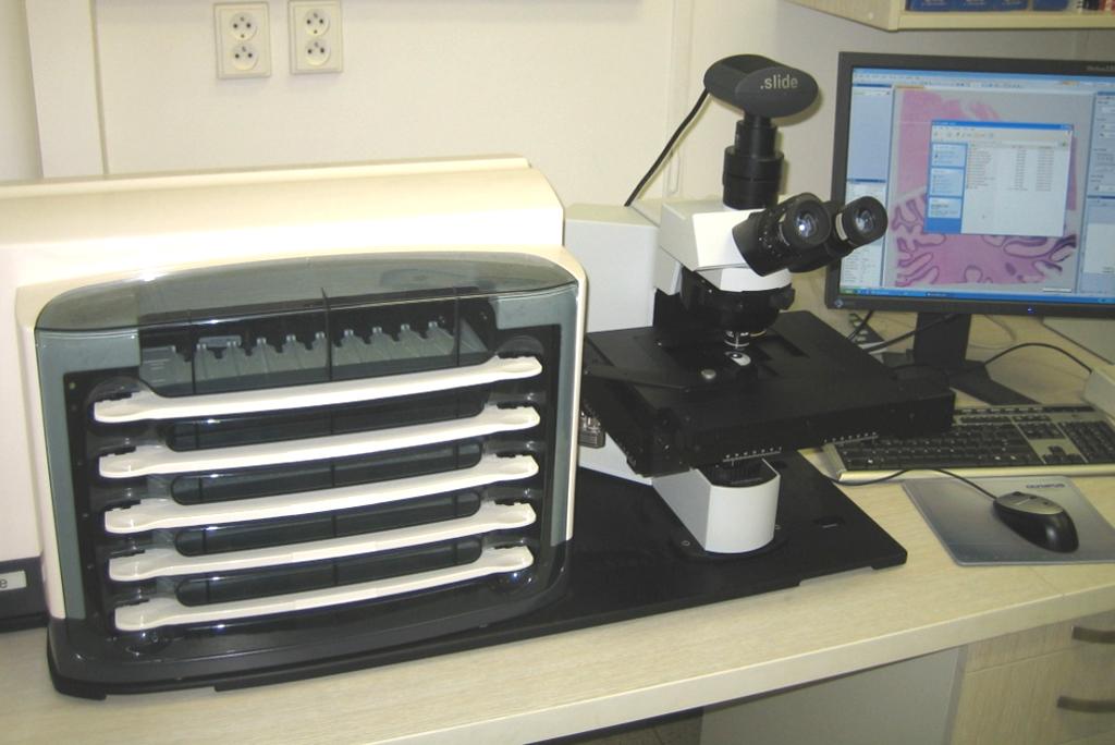 Místo pozorování preparátu v okuláru mikroskopu máme k dispozici celý preparát na displeji
