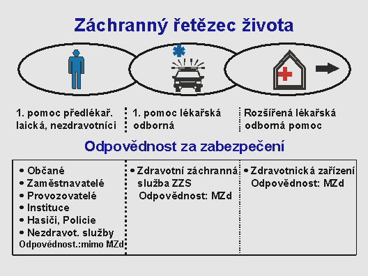 v arteriální krvi), hyperkapnie (nedostatek přísunu kyslíku a odsunu oxidu uhličitého) a laktátové acidózy (zvýšení kyselé reakce krve). (4,9) 1.2.