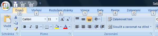 Základní práce s Excelem 2007 Zde si krátce projdete základní znalosti Excelu 2007, případně odchylky od starších verzí, se kterými jste zvyklí pracovat.