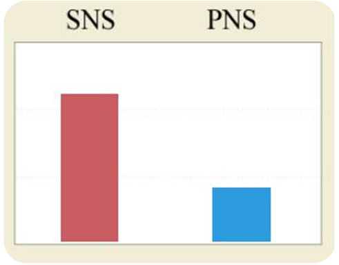 SNS sympatický nervový systém PNS parasympatický nervový systém SNS, PNS: Grafické znázornění rovnováhy mezi SNS (sympatickým) a PNS (parasympatickým) nervovým systémem.