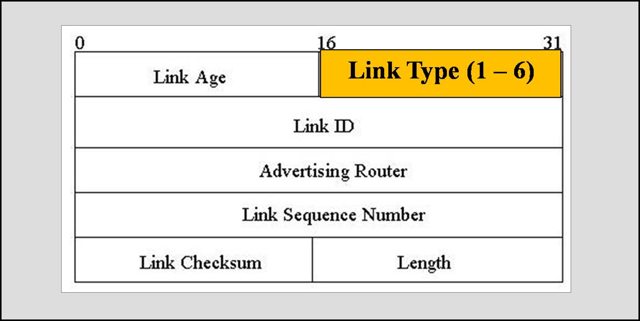 Formát zprávy OSPF Link State Request Packet Formát zprávy OSPF Link