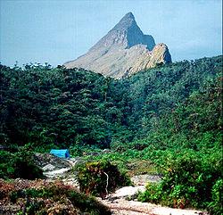 Území Brazílie tvoří tři velké geomorfologické celky na severu Guyanská vysočina, kde se také nachází nejvyšší hora Brazílie Pico de