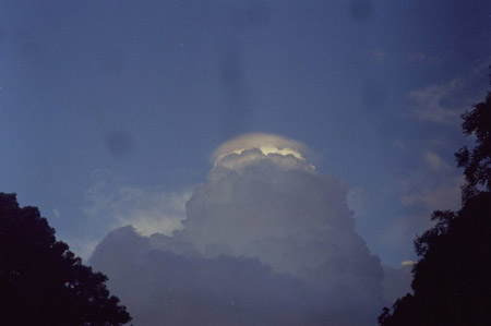 Obrázek 5.7: Cumulonimbus mamma. ww2010.atmos.uiuc.edu Obrázek 5.